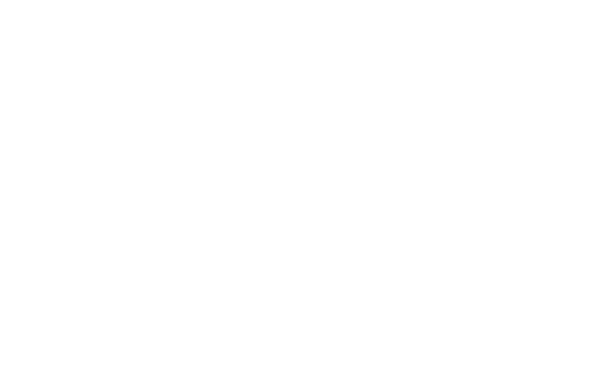 Next logo